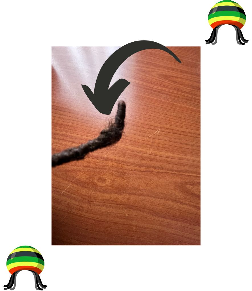 trimming dreads - removing stray hairs